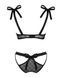 Напівпрозорий еротичний комплект Obsessive Obsessivia 2-pcs set black 10097 фото 7