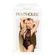 Боді з глибоким декольте та високими трусиками Penthouse 00009 фото 6